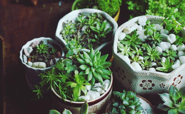 甲醛挥发时间达3-15年，那些除醛偏方别再用了，教你三招轻松除醛