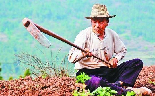 广西发现绝世珍宝，却被村民抢砸精光，总理听说后气得说了几个字