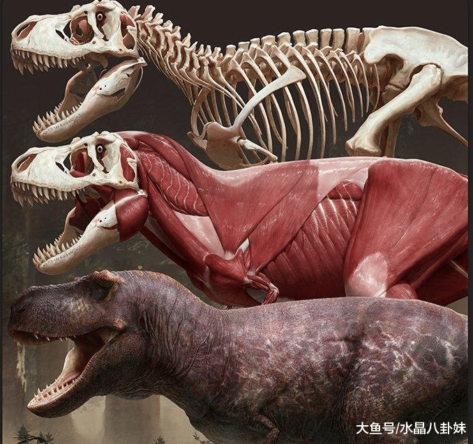 霸王龙终于不再卖萌了! 史上最精确的霸王龙复原图发布!