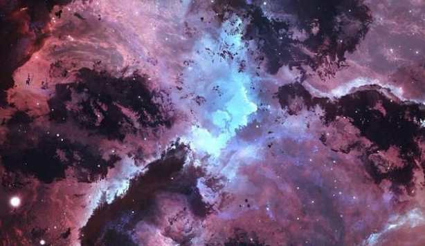 天生“贱骨”的四大星座，你越冷漠，他越爱你