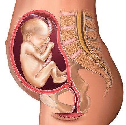 怀孕后，如果孕妈身上出现这4个特征，说明胎宝宝正健康发育呢