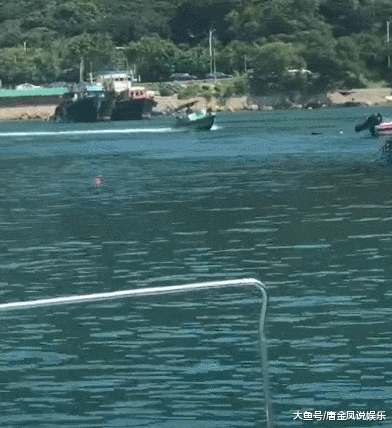 金毛：是时候该我威风一把了，带头冲锋！网友：好稳的狗子，拉轰