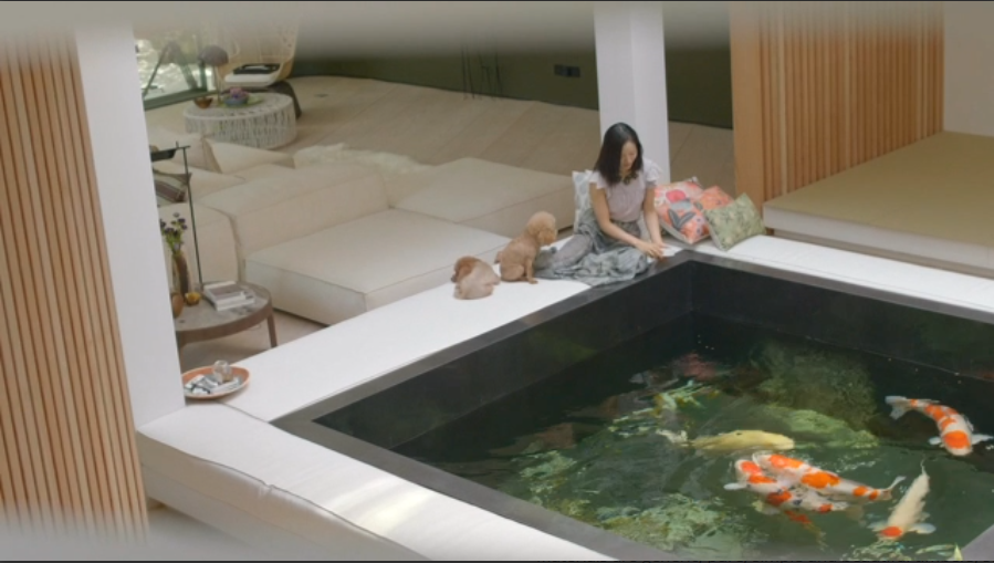 江一燕获奖别墅长啥样？客厅中间有鱼池养鱼，却面临“蹭奖”风波