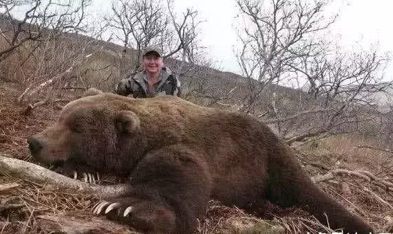 奇异世界: 十大巨型动物, 大到超出你的想象!