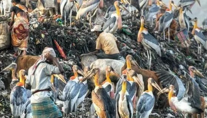 印度最繁忙垃圾场，每天吞吐九千吨垃圾，三千多家庭靠它为生