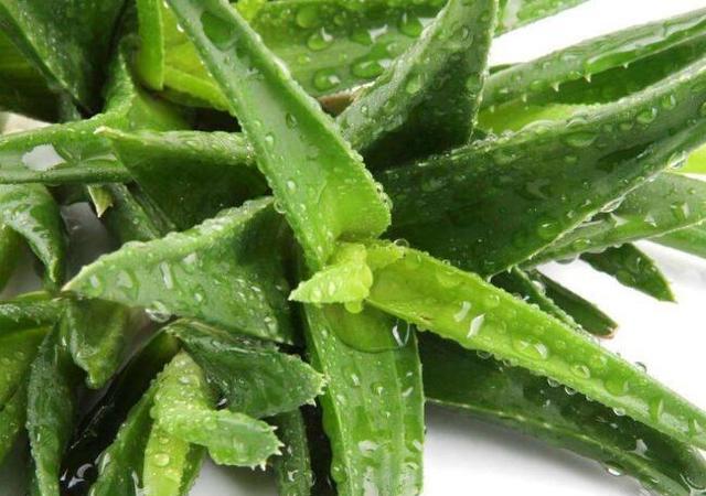 你还只知道开窗通风？快搭配这些方法一起使用！才能安心住新家！