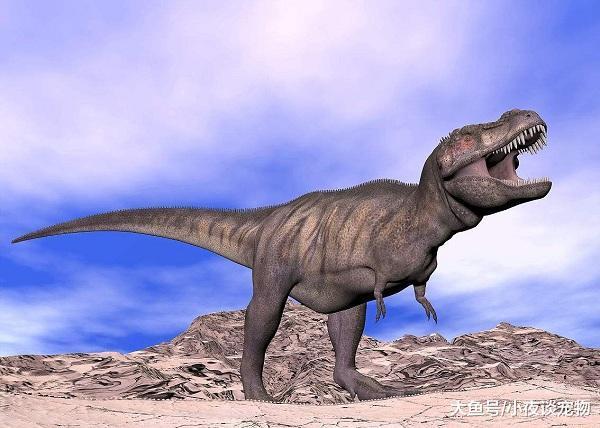 霸王龍是陸地上的霸主嗎？原來它也有天敵