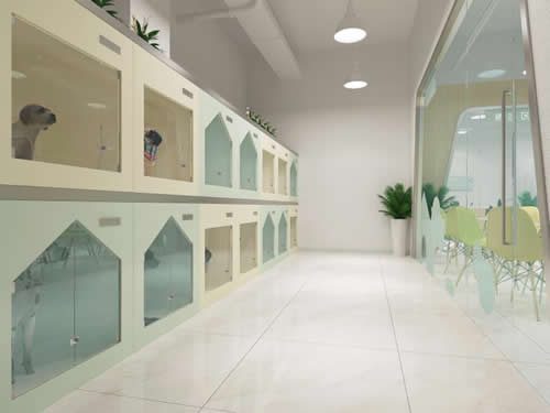 开一家小型宠物店需要多少钱?