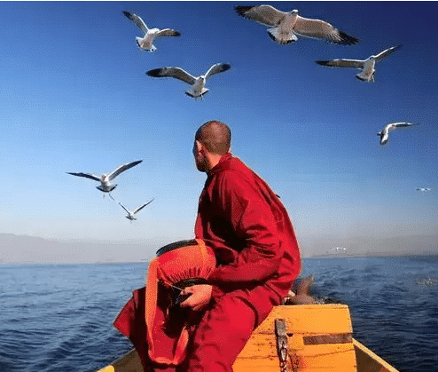 易中天: 为什么现在信佛的人越来越多?