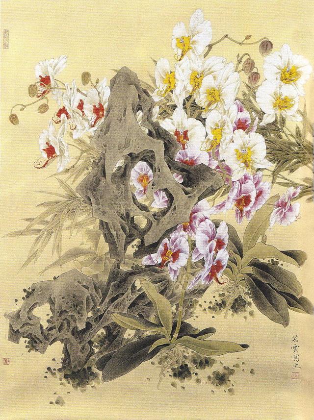 名家风采——画家杨若云的工笔画创作