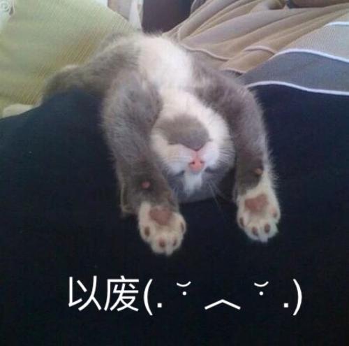 辟谣：夏天给猫用艾叶洗澡清凉除虫，不但不能，还会就让猫咪痛苦