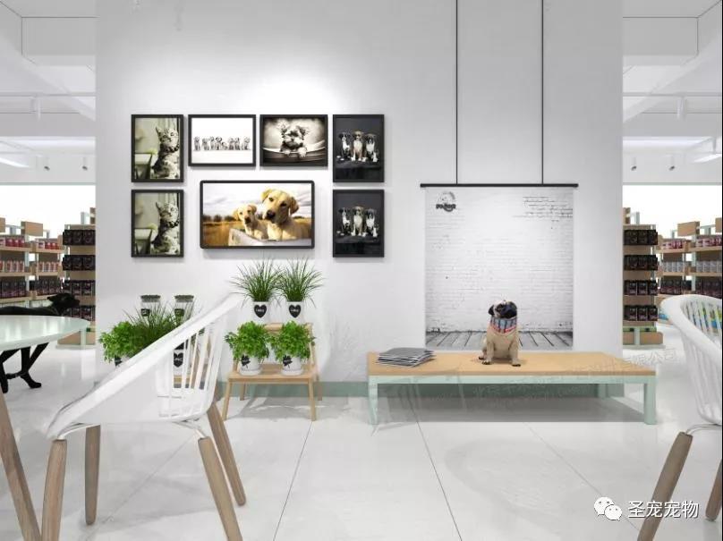 开宠物店要做什么准备工作