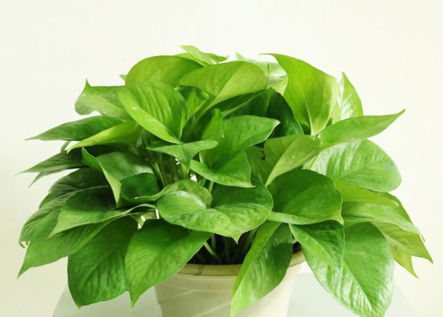 医生提示：这2种你朝夕相处的用品，也是甲醛释放源！快处理，是祸根！