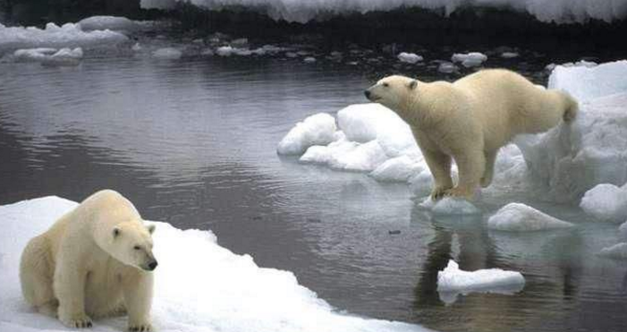 「科学家」科学家找出导致全球气候变暖的真凶，多年来误会二氧化碳了