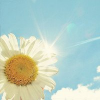 王雅男说职场的优酷主页 王雅男说职场的优酷主页