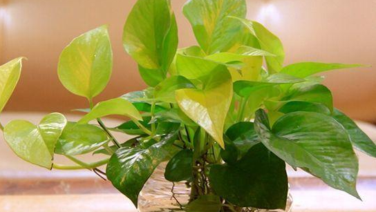 家里发生这些情况，千万不要视而不见！否则必将危害家人健康！