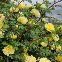 冯绍峰透露追到赵丽颖真实原因,8字总结,网友