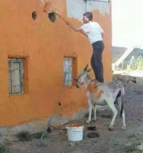 发几张不正经的照片给你看看, 专治不开心~