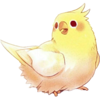 玄凤鹦鹉断奶期,自制断奶口粮,让断奶变得更轻松-亲子-高清完整正版