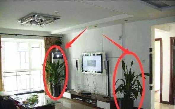 有钱人在客厅放3样东西，难怪越住越有钱，财神来了不想走