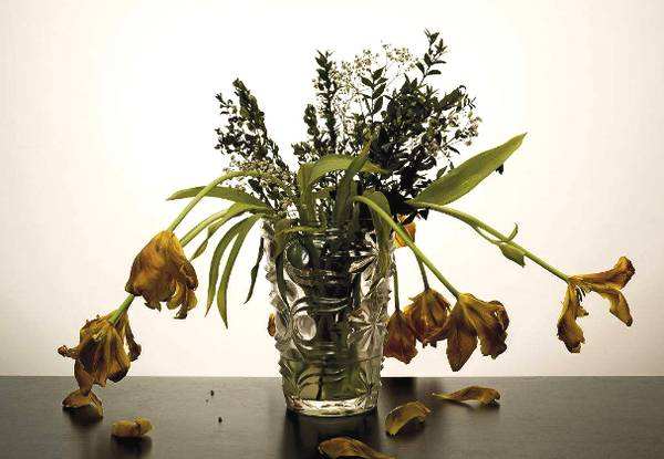 没气味不代表没醛！出现这些情况的家庭，抓紧时间处理吧，易患癌