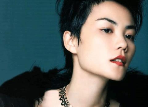 谢霆锋|晒一晒王菲的年收入， 谢霆锋的年收入， 张柏芝的年收入， 差距有多大？