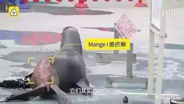 让人类羞耻的30张图