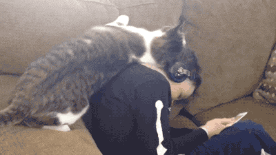 |“买了个8848手机，新机就已经很卡了”哈哈哈，没想到还有成功人士买！