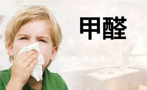 不会除醛没关系！教你三个小妙招，快速除醛不是梦！