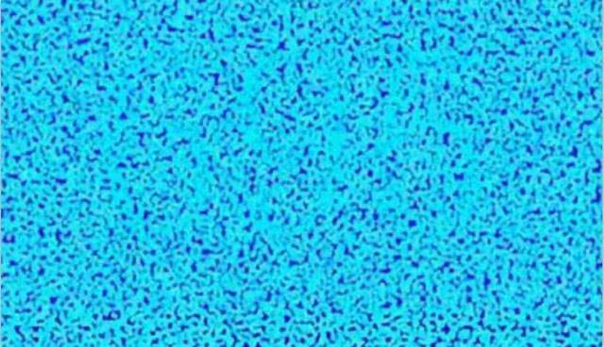 「歼-20」中国飞行员选拔有多难？3秒内读出图中的数字，就可以开歼20