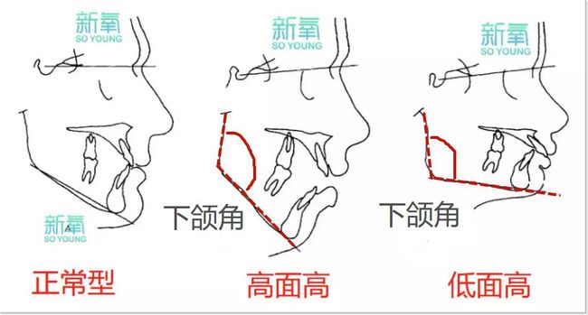 田馥甄|20年前碾压宋慧乔的神颜又杀回来了，这张脸怎么一点没变？