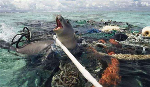 [中国卫星]中国卫星发现一块“新大陆”面积有350万平方公里，正加速在向我国靠拢