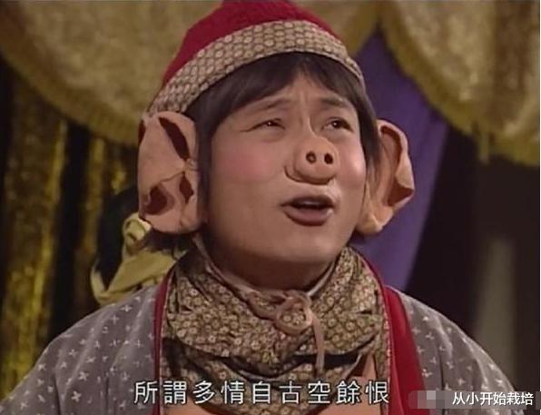 黎耀祥|黎耀祥抛弃相恋11年发妻，转身娶了梁耀莲，坦言：感情中没有对错