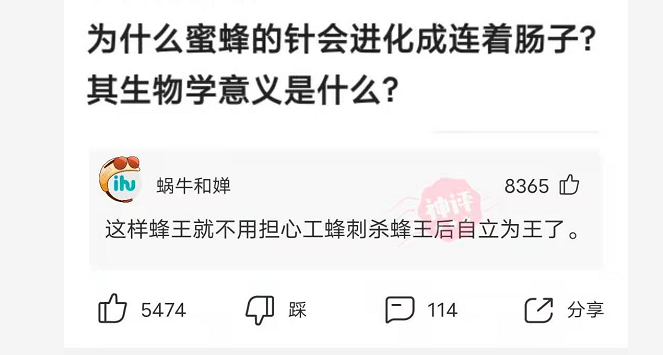 时尚炫点 “为什么蜜蜂的针会连着内脏，这样构造的意义是什么？”