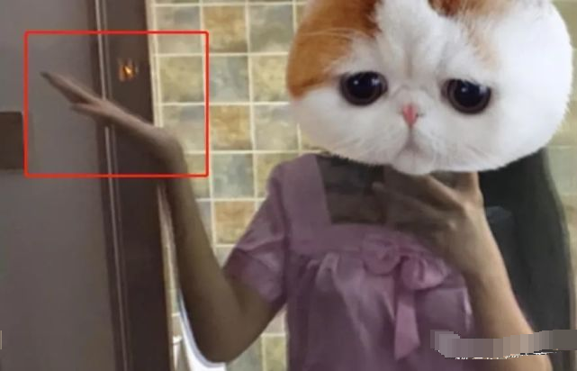 一条小团团|斗鱼一姐小团团露脸直播，颜值、体重双双翻车，这是第二个乔碧萝？