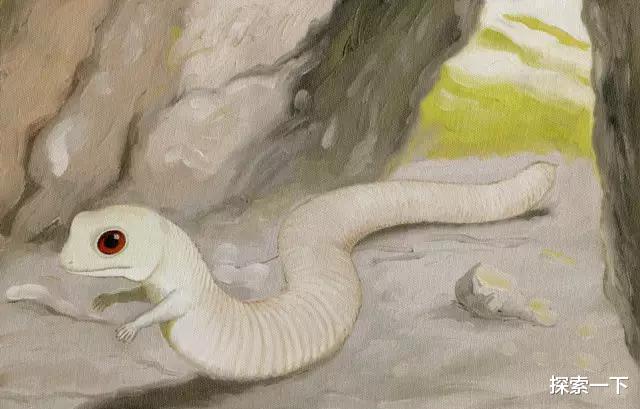 『干旱』存在于阿尔卑斯山的神秘生物, 是传说还是未被发现