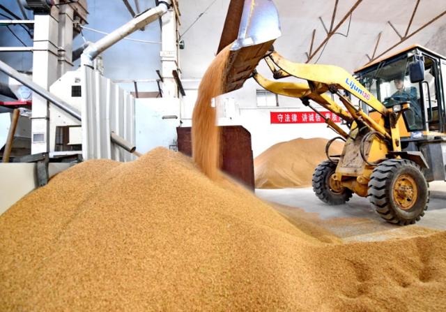 「大米」最新：中国释放重要信息后，越、柬、俄、乌、哈纷纷采取新行动