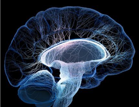 人死亡的几个小时内,会发生什么事情?科学家通过实验发现异像