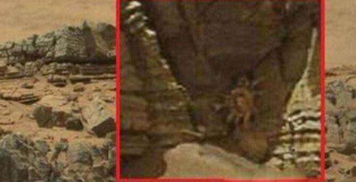 火星上出现“神秘生物”,躲在岩壁缝内,科学家:也许是外星生物