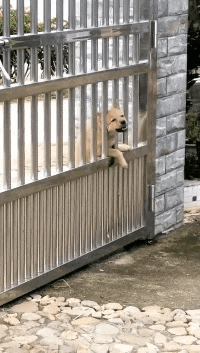 |“买了个8848手机，新机就已经很卡了”哈哈哈，没想到还有成功人士买！