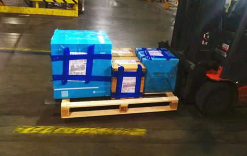 「意大利」意大利人是作死小能手满级？了解一下他们到底有多么能作死