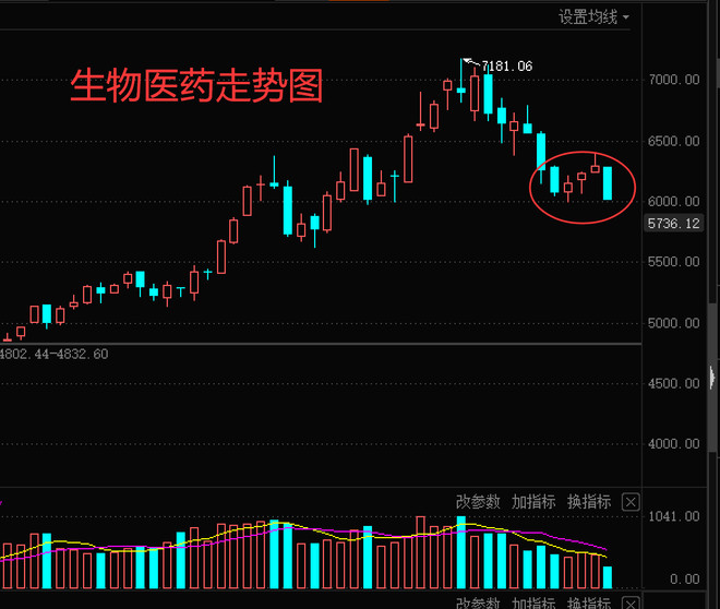 科技创新板|没有暴涨，哪来的崩盘？昨天看我文章的逃过一劫！