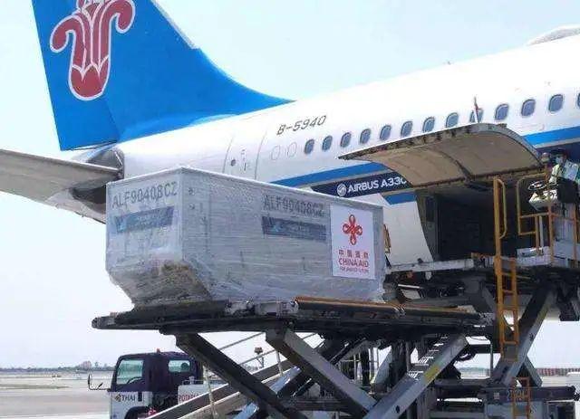 美国■联合国下令彻查！特朗普这次彻底瞒不住了，美国正在一场惊天豪赌