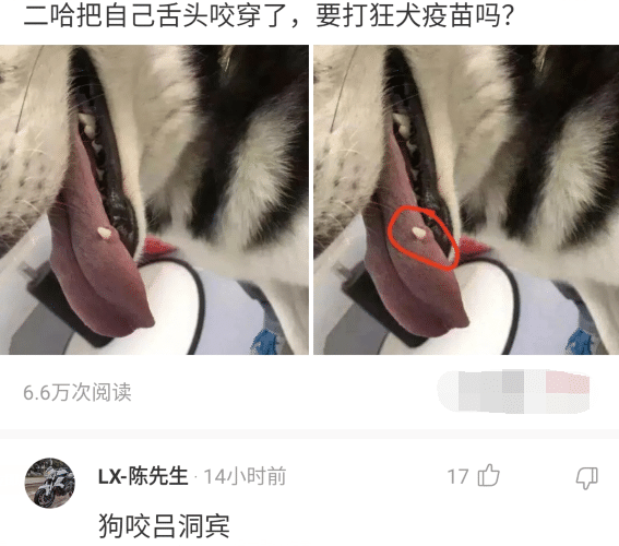 “房子隔音差是啥体验?”网友:能通过听声音还原现场