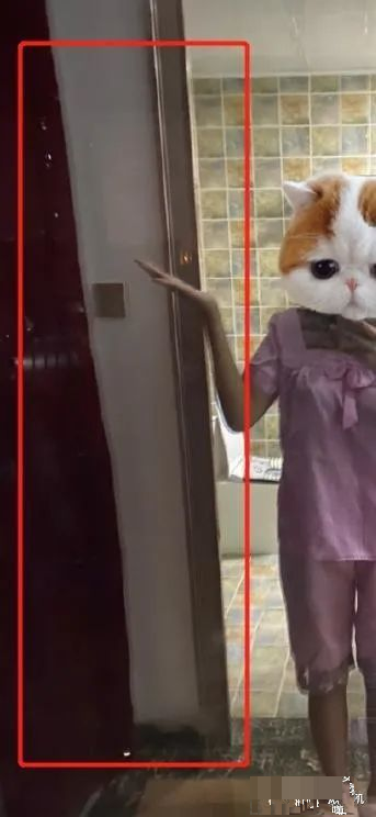 一条小团团|斗鱼一姐小团团露脸直播，颜值、体重双双翻车，这是第二个乔碧萝？