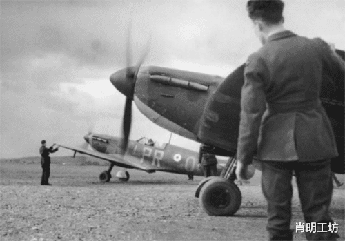 『蟒蛇』蛇究竟能有多长？二战飞行员从空中拍到一条巨蛇，至今无人敢信