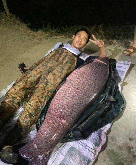 【】钓不到鱼就扛走牛！男子花千元水库钓鱼\颗粒无收”, 气愤下报复水库主？