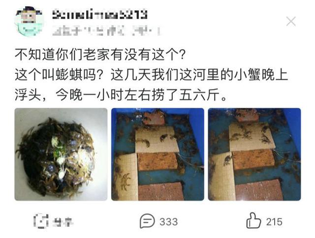 杂草|广东河道“螃蟹”泛滥成灾？钓鱼人：夜里河面上都是，能捞几桶