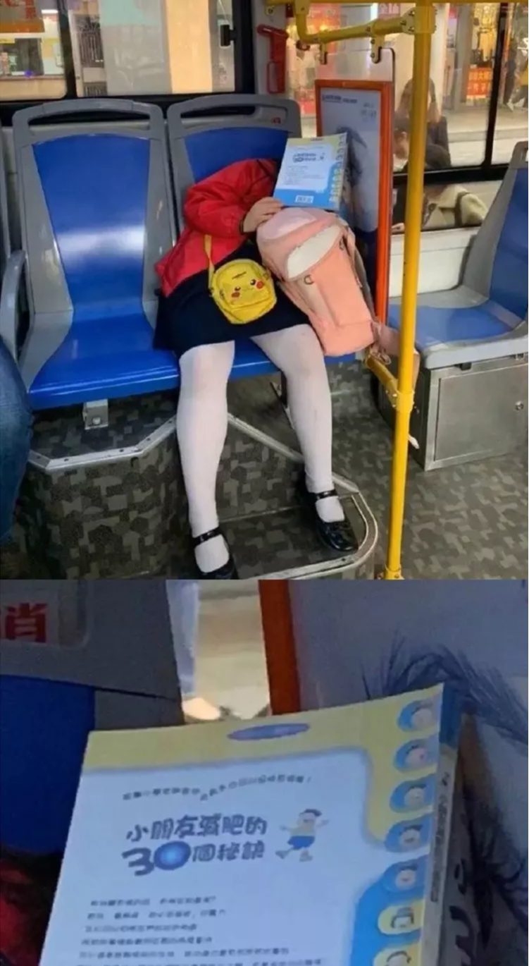 |“据说这是一千年后的中学历史课本！”哈哈哈哈笑抽了！