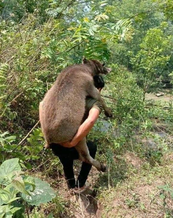 【】钓不到鱼就扛走牛！男子花千元水库钓鱼\颗粒无收”, 气愤下报复水库主？